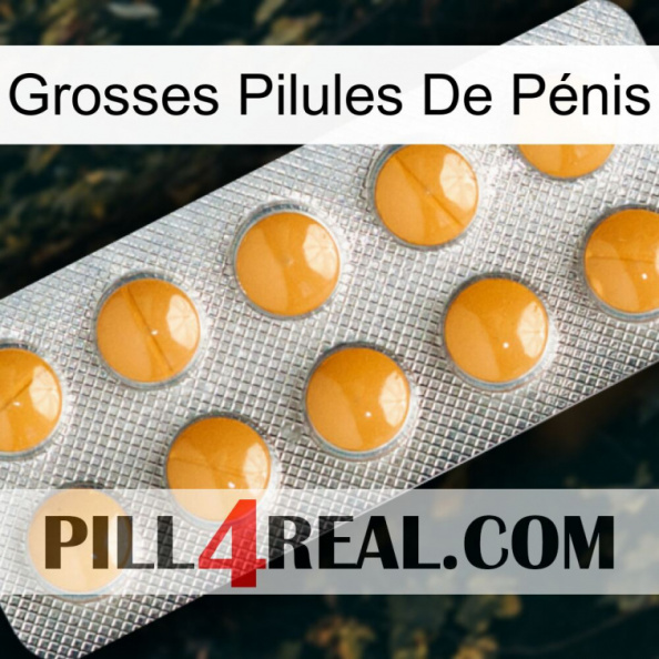Grosses Pilules De Pénis levitra1